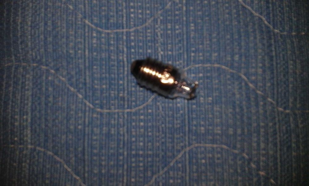 Microscopio de brincar