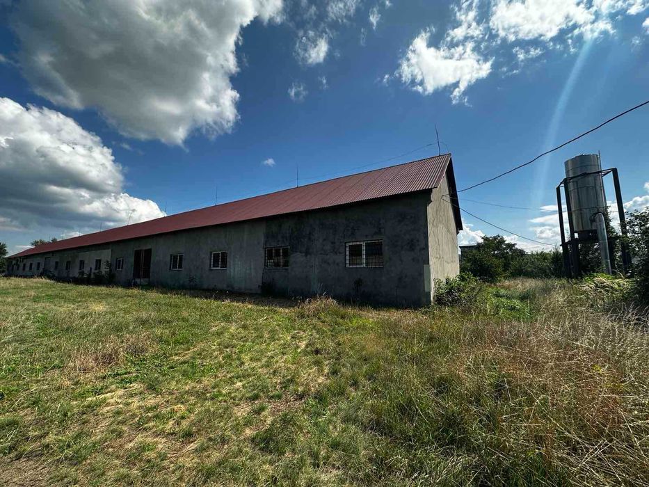 Здається в оренду комерційне приміщення в с. Рокосово