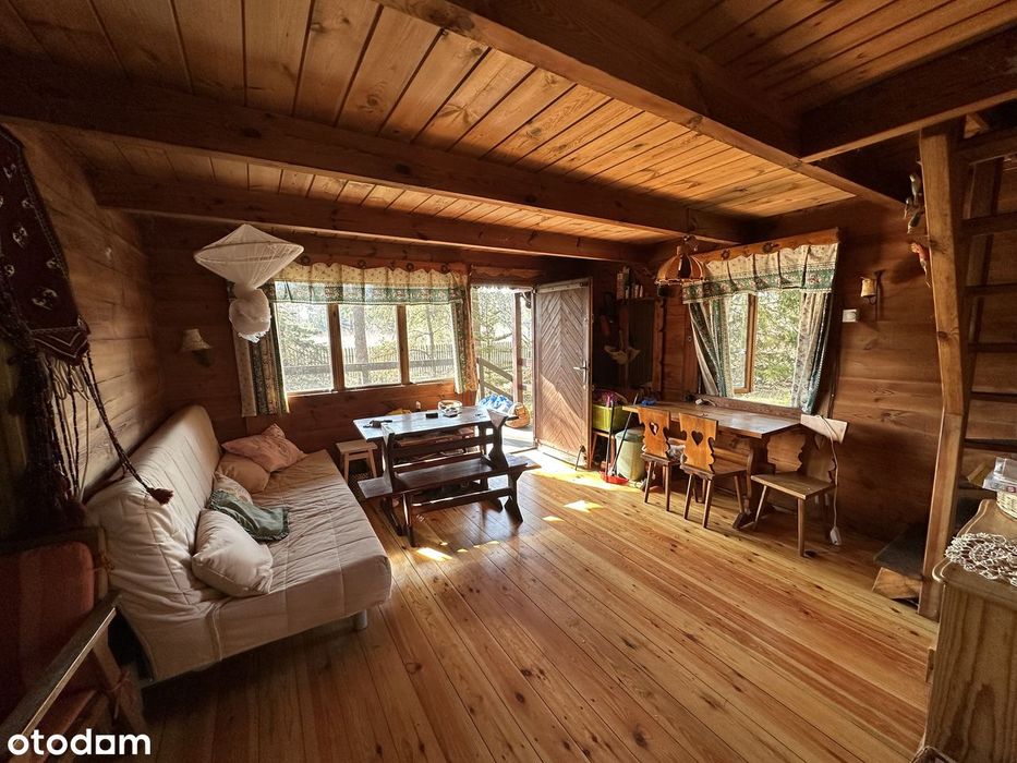 Klimatyczna działka 1620 m² z domkiem w lesie w Kamieńczyku - Rafa - Widok 6