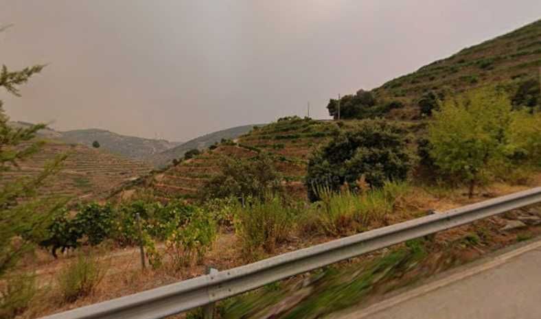 Vinha com 2,4 hectares de Benefício letra A - região DOURO