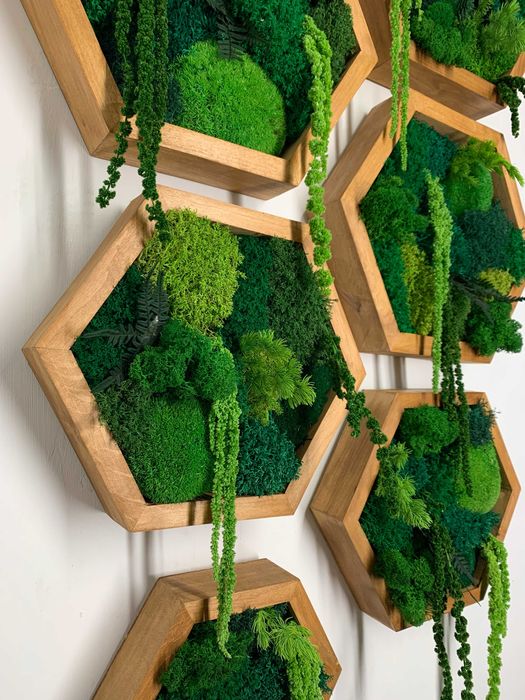 Настенный декор из мха,стабилизированный мох,декор под заказ,ЗВОНИТЕ!