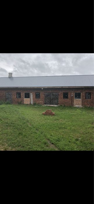 Agroturystyka Alpaka