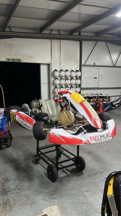 Tony kart IAME X30
