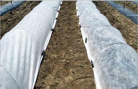 Агроволокно щільність 23, 30, 60 г/м² (1,6м або 3,2м), Туреччина