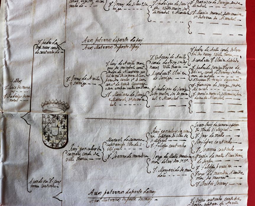 Meneses, Condes de Cantanhede 1628 árvore genealógica