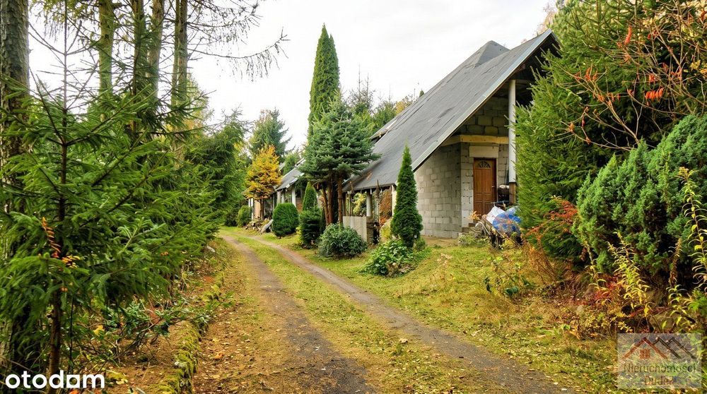 Wyjątkowa nieruchomość - 7600 m2 + 5 domków