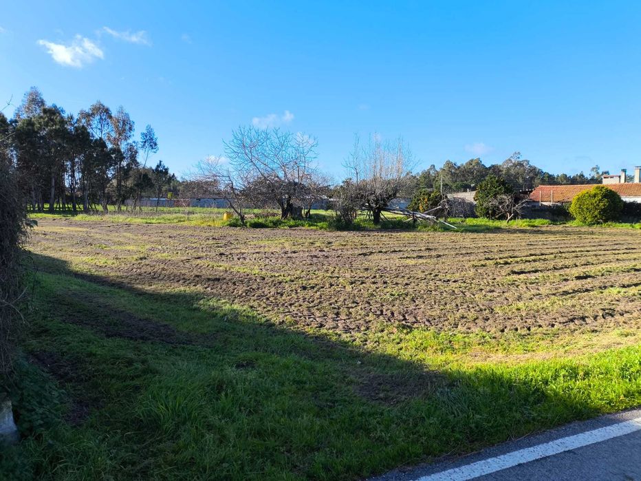 Terreno Rústico, Cantanhede
