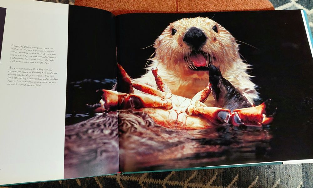 Wild Life of North America - Thomas Lewis (Könemann)