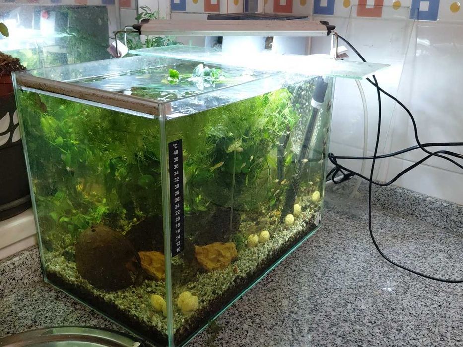 Aquario semi novo e filtro externo cascata