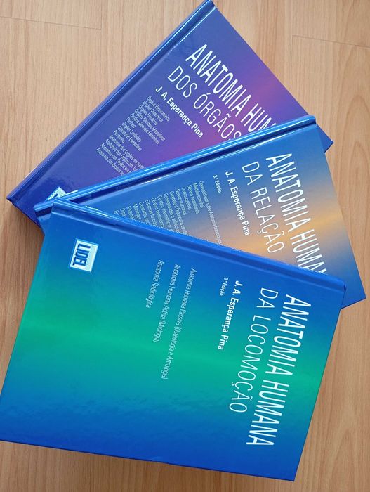 Anatomias humanas