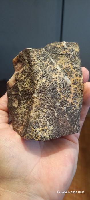 Minerały dendryty manganowe na dolomicie