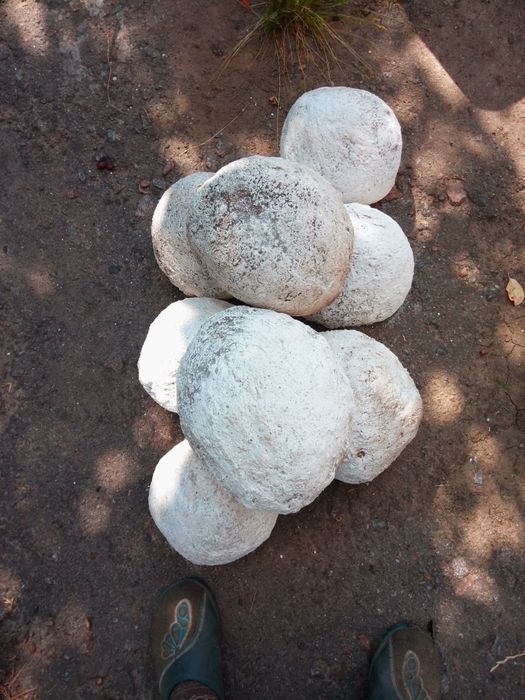 Глина біла для побілки.