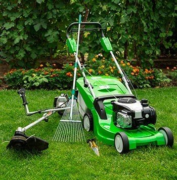 Озеленення,догляд за ділянками,реконструкція,лікування газону