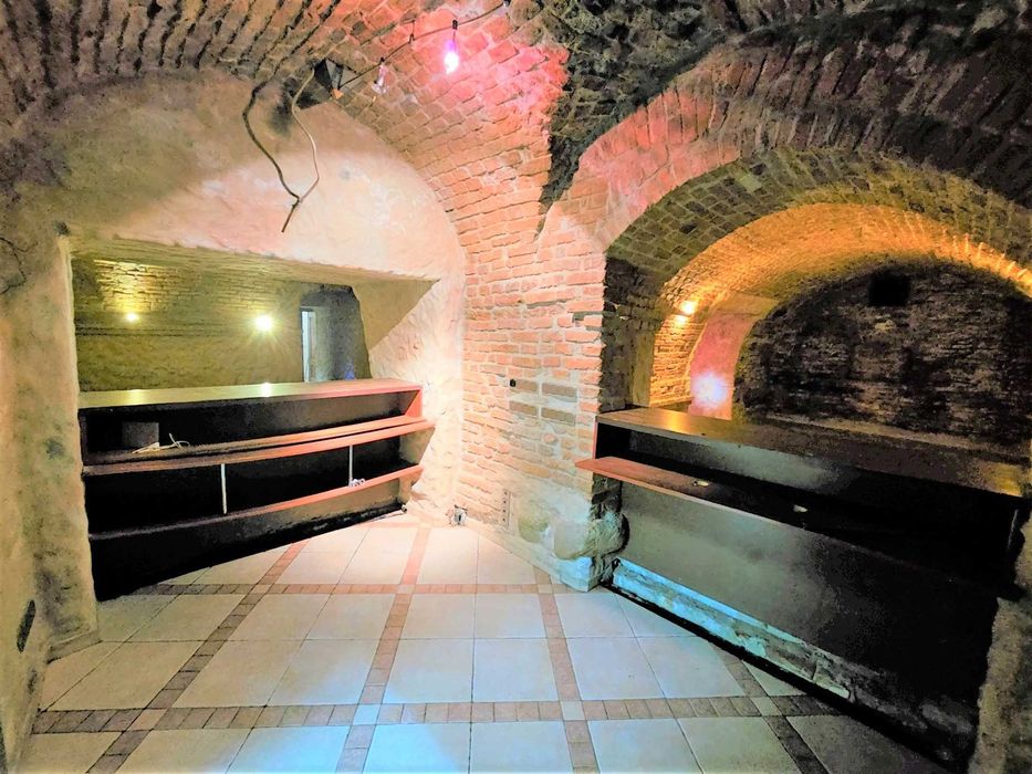 GastroPiwnica w Centrum - Lokal idealny pod Bar / Restaurację 250m2