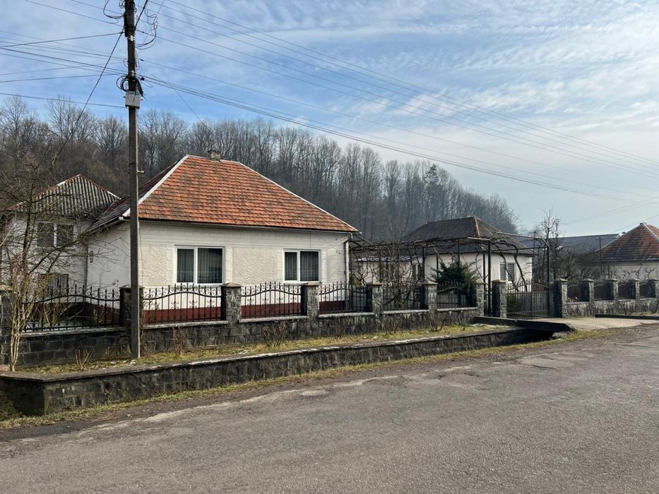 Продам будинок з ділянкою 38 соток