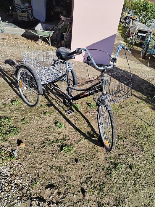 Vicicleta de 3 rodas