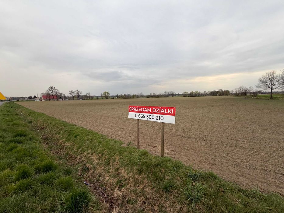 Działka Budowlana  63-210 -Sucha