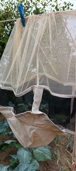 Material de Apicultura