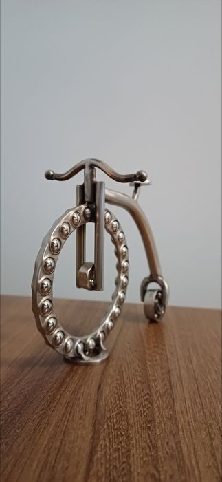 Rower Bicykl model roweru