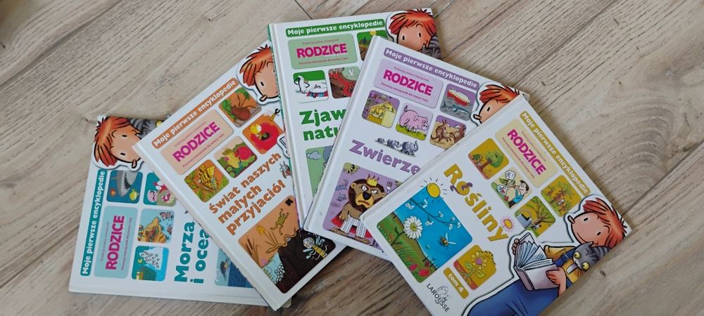 Zestaw książek, stan bdb