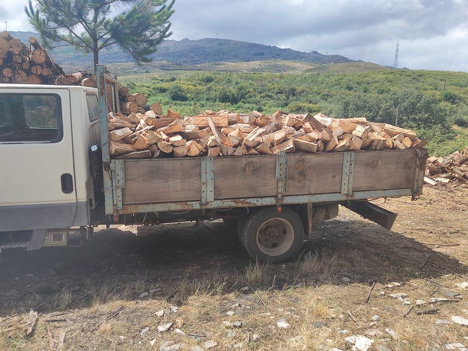 Venda de lenha seca