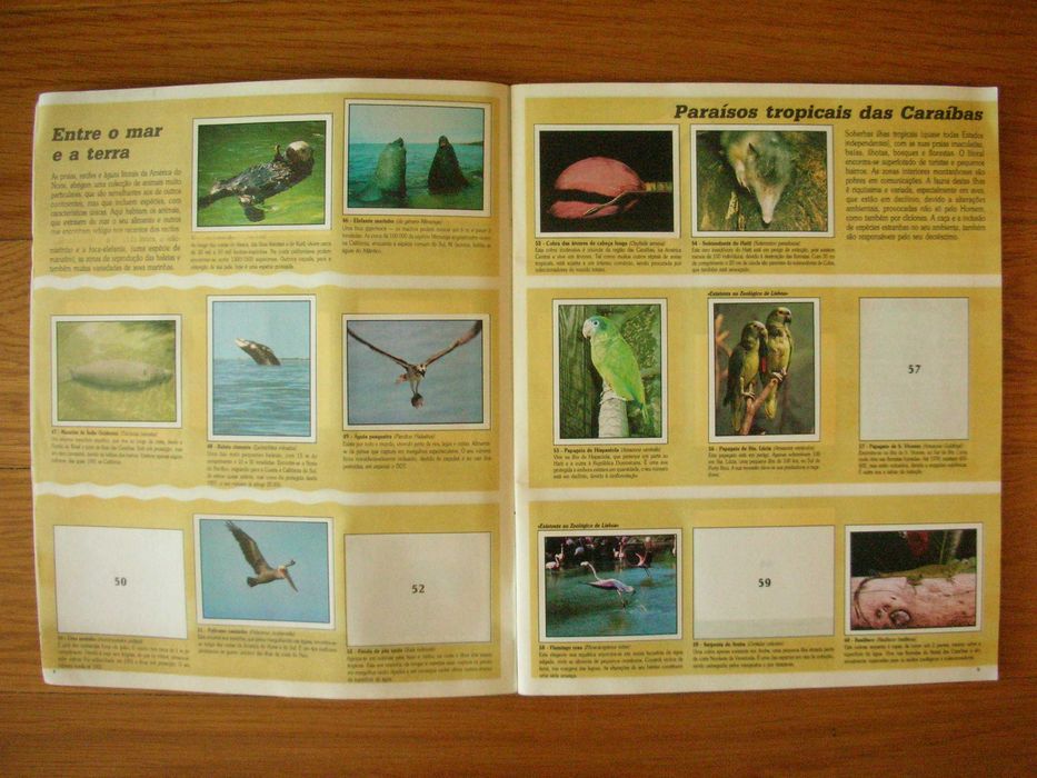 WWF Notebook - Animals to Save (Panini)64585949064577121