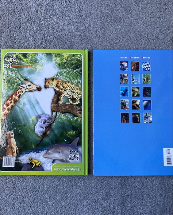 Enciclopédia do desporto