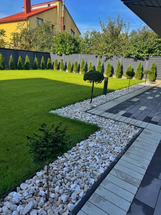 Ландшафт Озеленення Рулонний газон Висадка