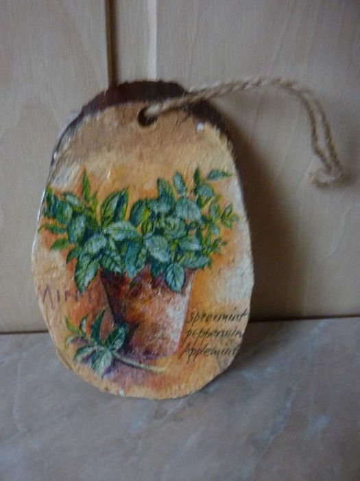 Botaniczny obrazek dwustronny plaster zajączek