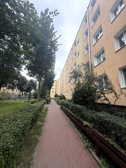 Zdjęcie 8