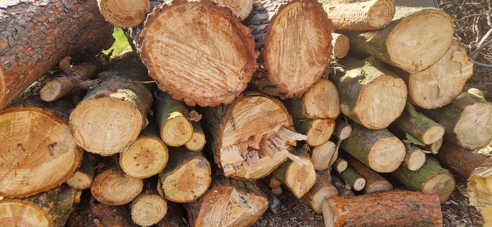 drewno opałowe sosna/modrzew/świerk