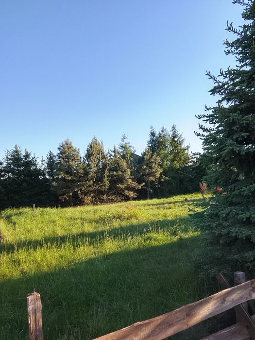 Piękna działka  budowlana w Bogdaszowicach