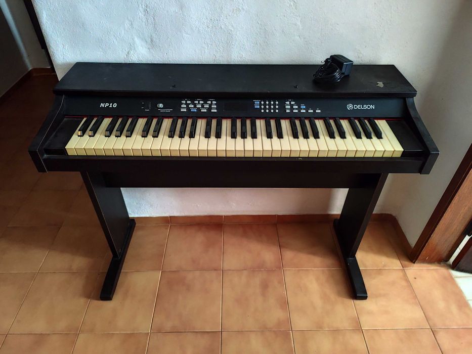 Piano delson np10