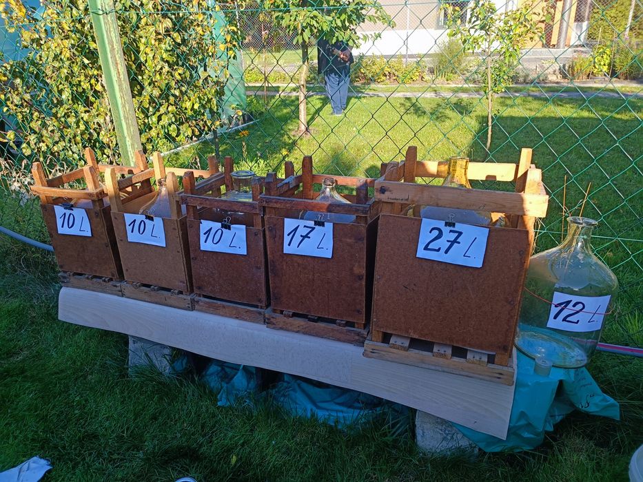 Balony na wino lub inne trunki