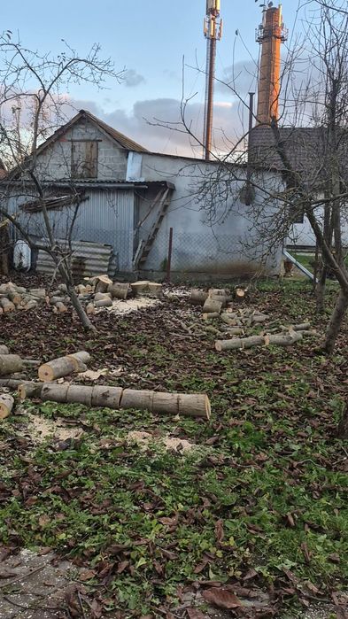 Зрізка, зрізання, спиляння дерев, КОСІННЯ трави, подрібнення гілок
