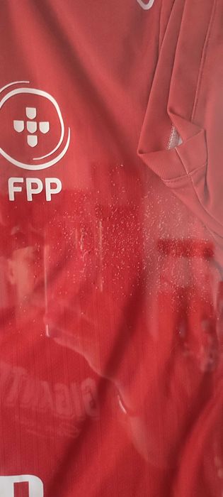 Camisola usada de Jogo Seleção