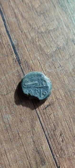 Античная монета Ольвии Борисфен.