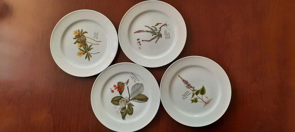 Porcelanowe talerze Motyw botaniczny 4 sztuki