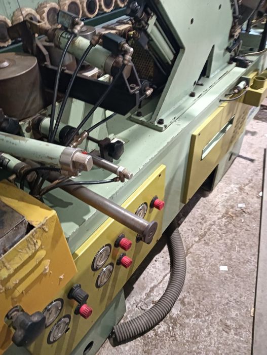 Orladora Stefany sem tupias