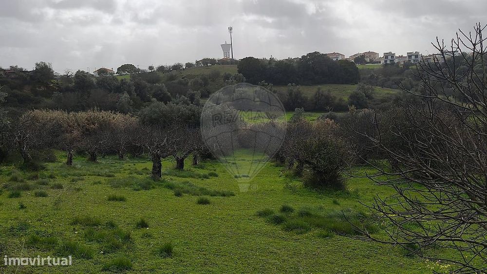 Terreno  para venda