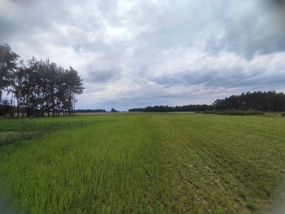 Działki budowlane