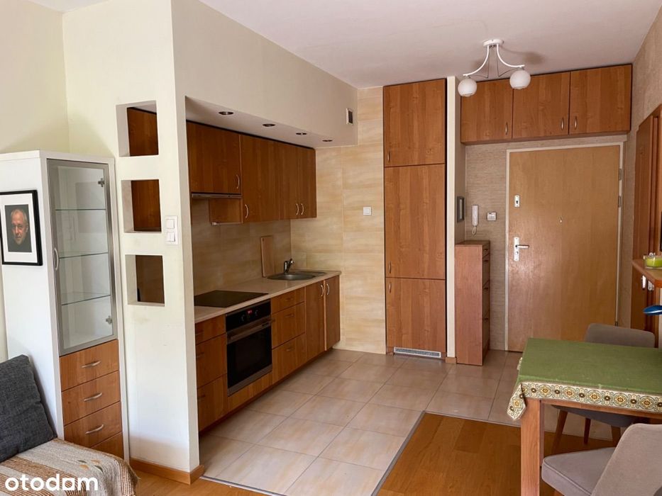 Ciche, okna i balkon od południa garaż LSM - Widok 3