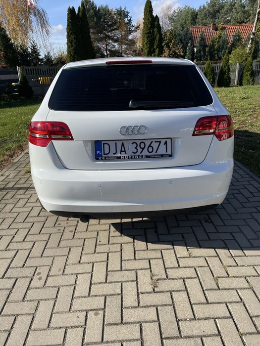 Audi A3 8P 1.6 TDI