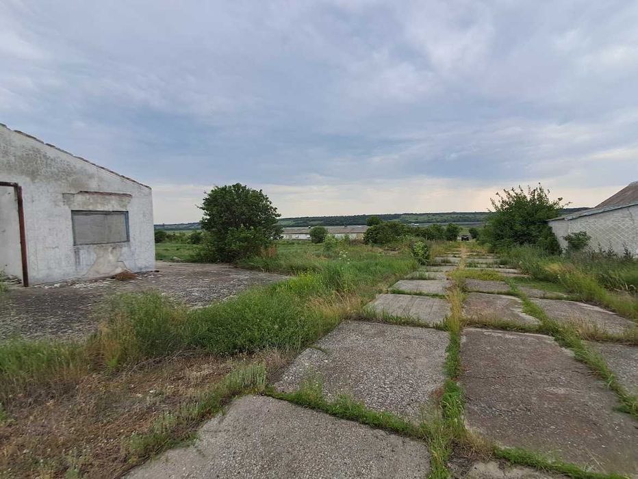 Комплекс птицефабрики/Солнечные батареи/Зернохранилище