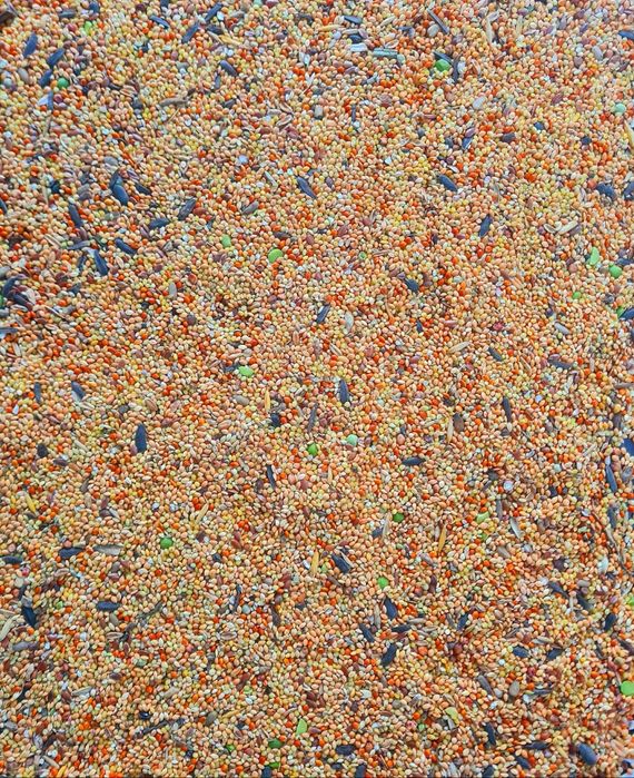 Karma dla papug , dzikich ptaków 20kg drobna