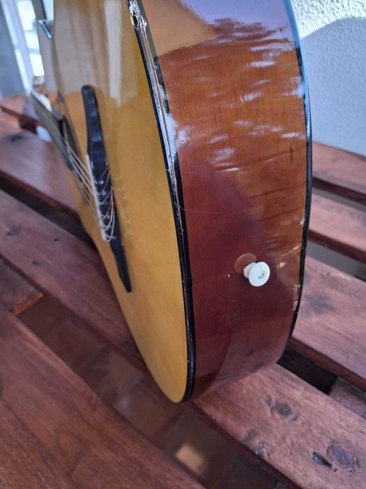Viola com capa e palheta