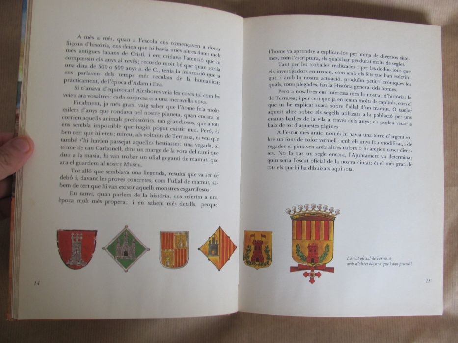 Història Breu de Terrassa de Josep Mª Domènech