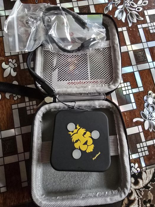 Pokemon go. Автокач