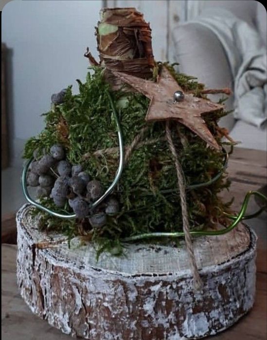 5 wersji Cebula amarylisa w zimowej oprawie