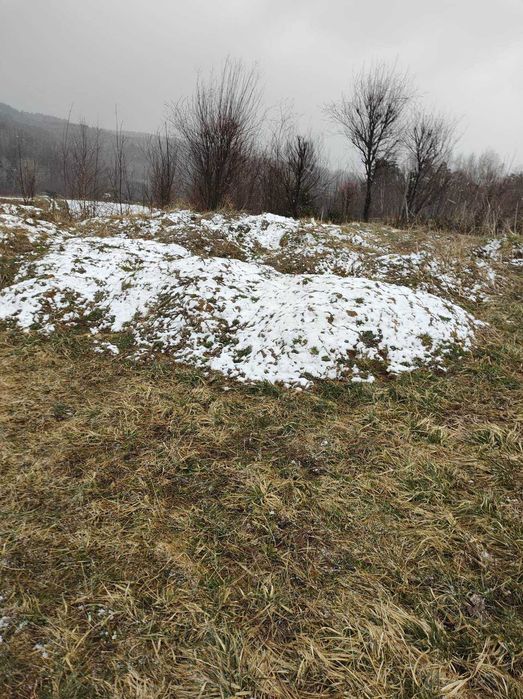 ziemia urodzajna np pod trawnik